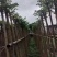 火焰木基地直销规格齐全欢迎老板来电洽谈合作