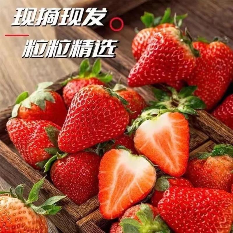 云南夏季酸草莓蛋糕糖葫芦烘焙商用