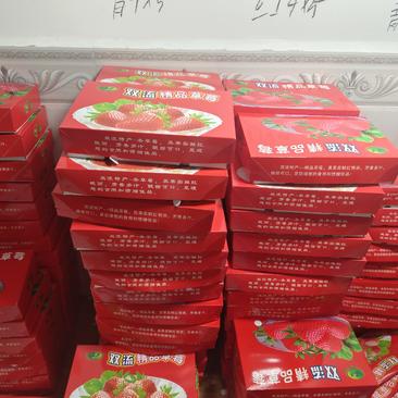 云南夏季酸草莓蛋糕糖葫芦烘焙商用