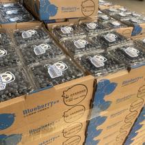 大量蓝莓上市，型号12mm。全国发货。价格美丽