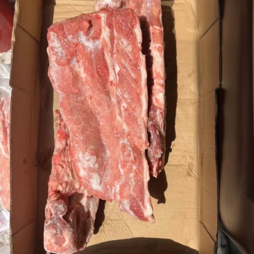 母猪龙骨