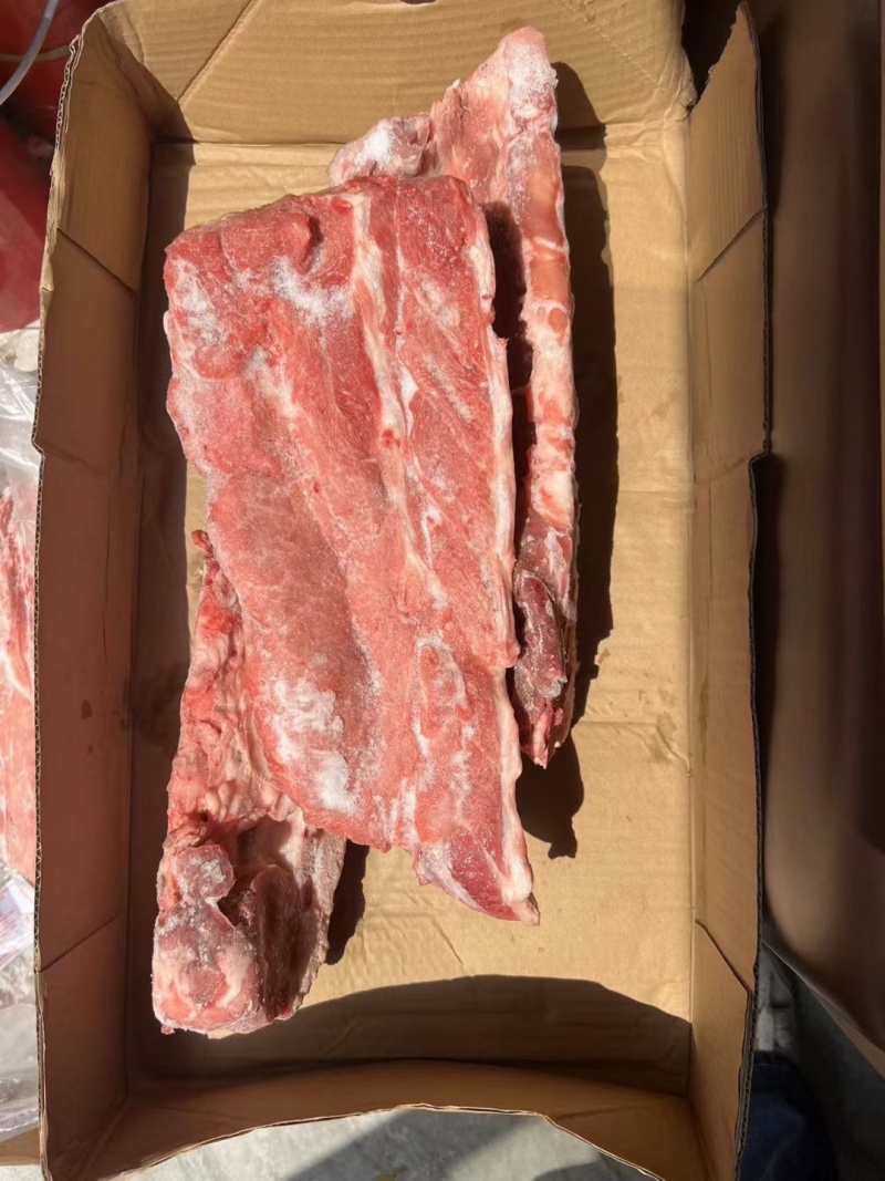 母猪龙骨