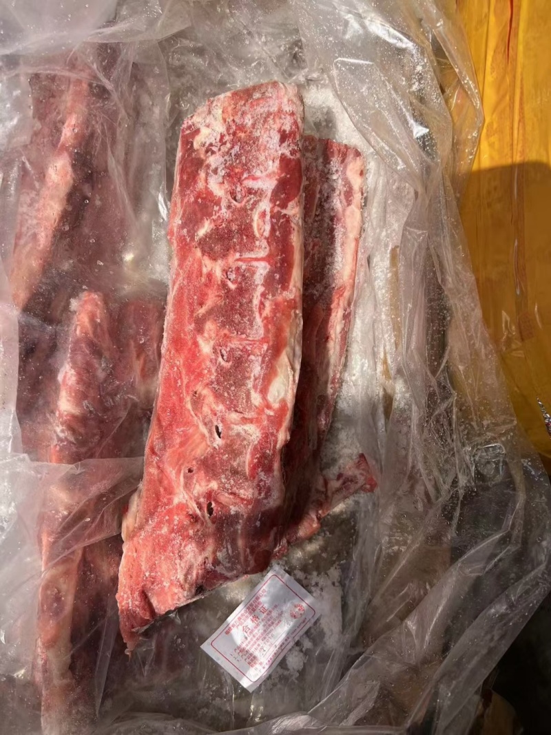 母猪龙骨