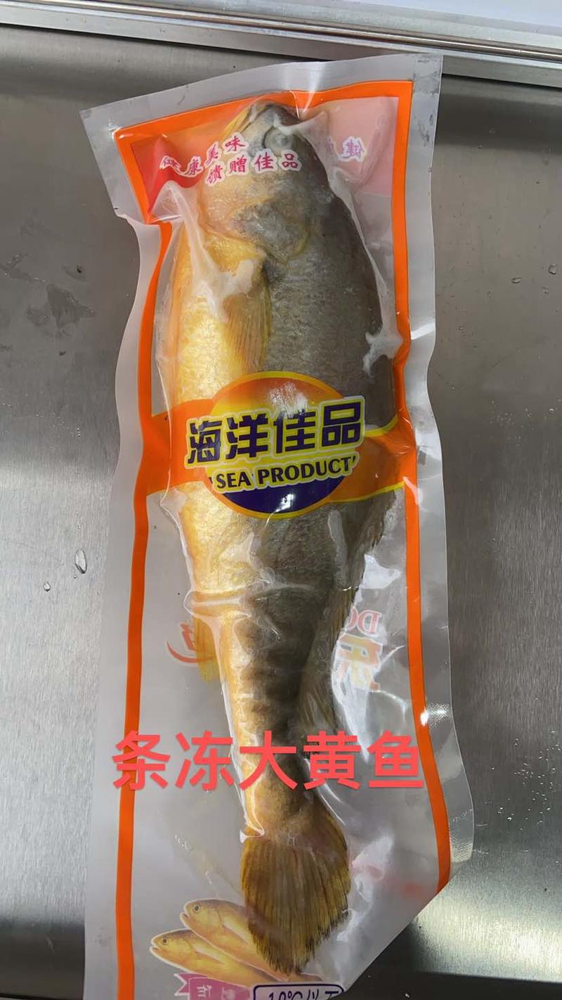 条冻大黄鱼9-1斤