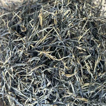 特级松针茶