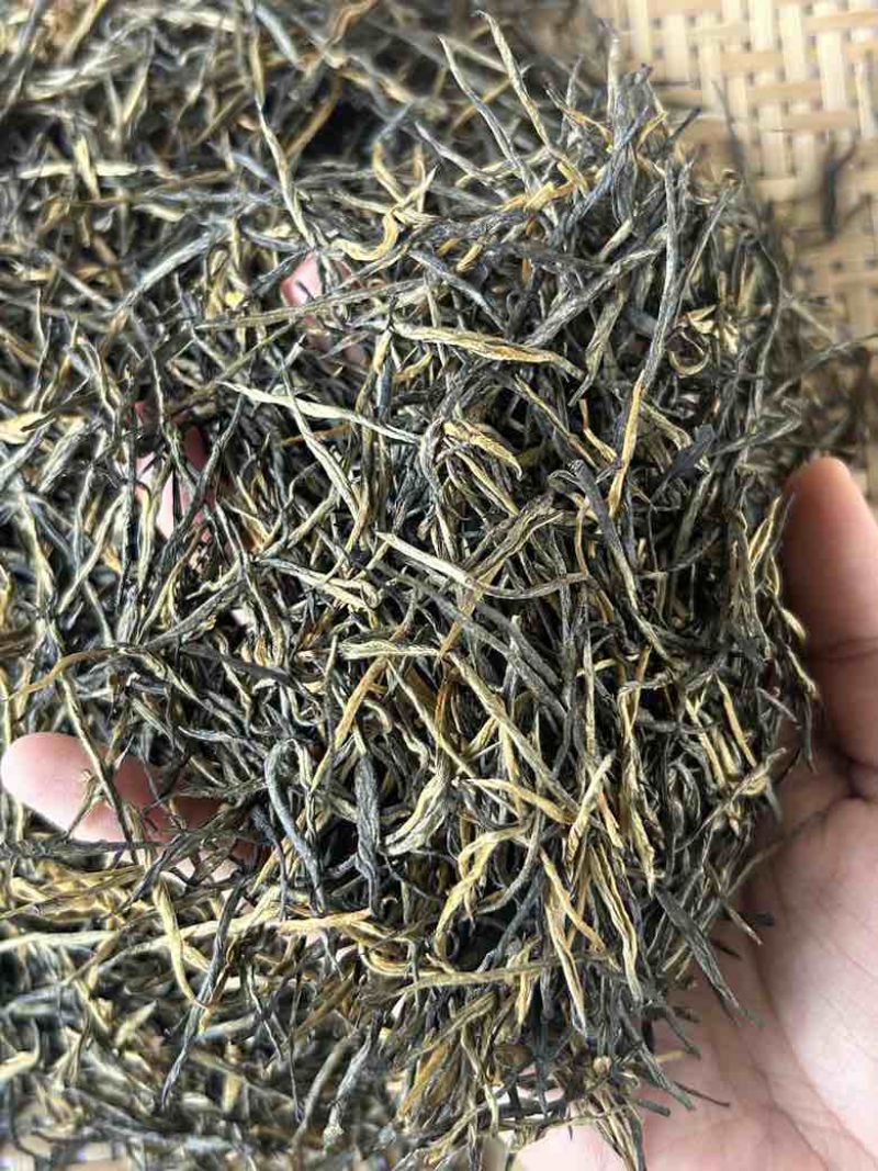 特级松针茶