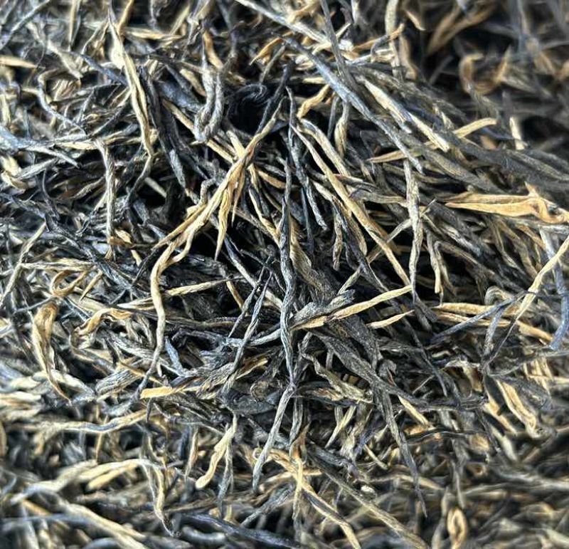 特级松针茶