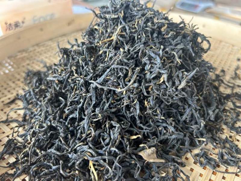 云南省临沧凤庆2024年蜜香红茶