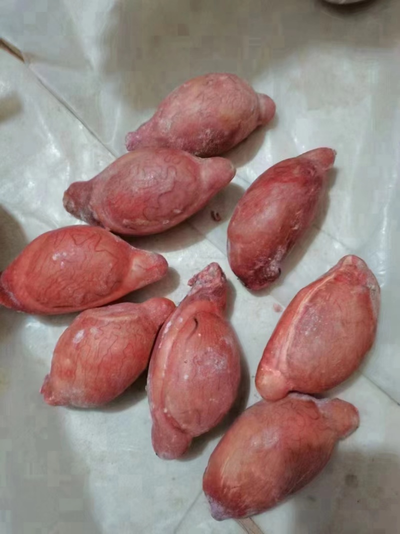 羊宝