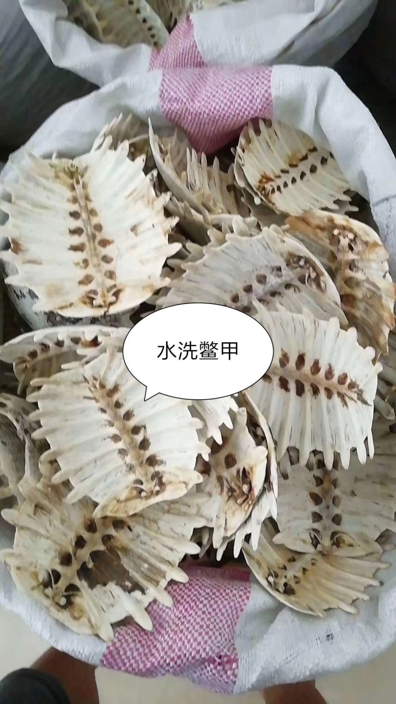 鳖甲，各种规格