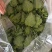 大量散叶，捆好的叶子，欢迎大家抢购
