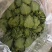 大量散叶，捆好的叶子，欢迎大家抢购