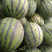 西瓜规格齐全下单秒发无子精品美都西瓜
