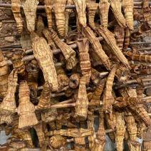 老挝烟笋干，源自老挝密林深处。