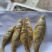 火培白条鱼翘嘴鱼