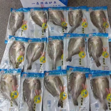 精品三去鲈鱼淡水鲈鱼海鲈鱼宰杀干净真空包装发货，量大价