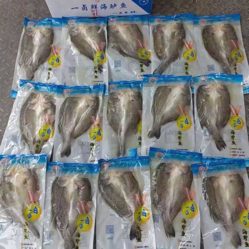 精品三去鲈鱼淡水鲈鱼海鲈鱼宰杀干净真空包装发货，量大价