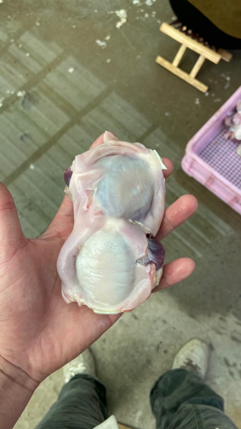 大鹅胗