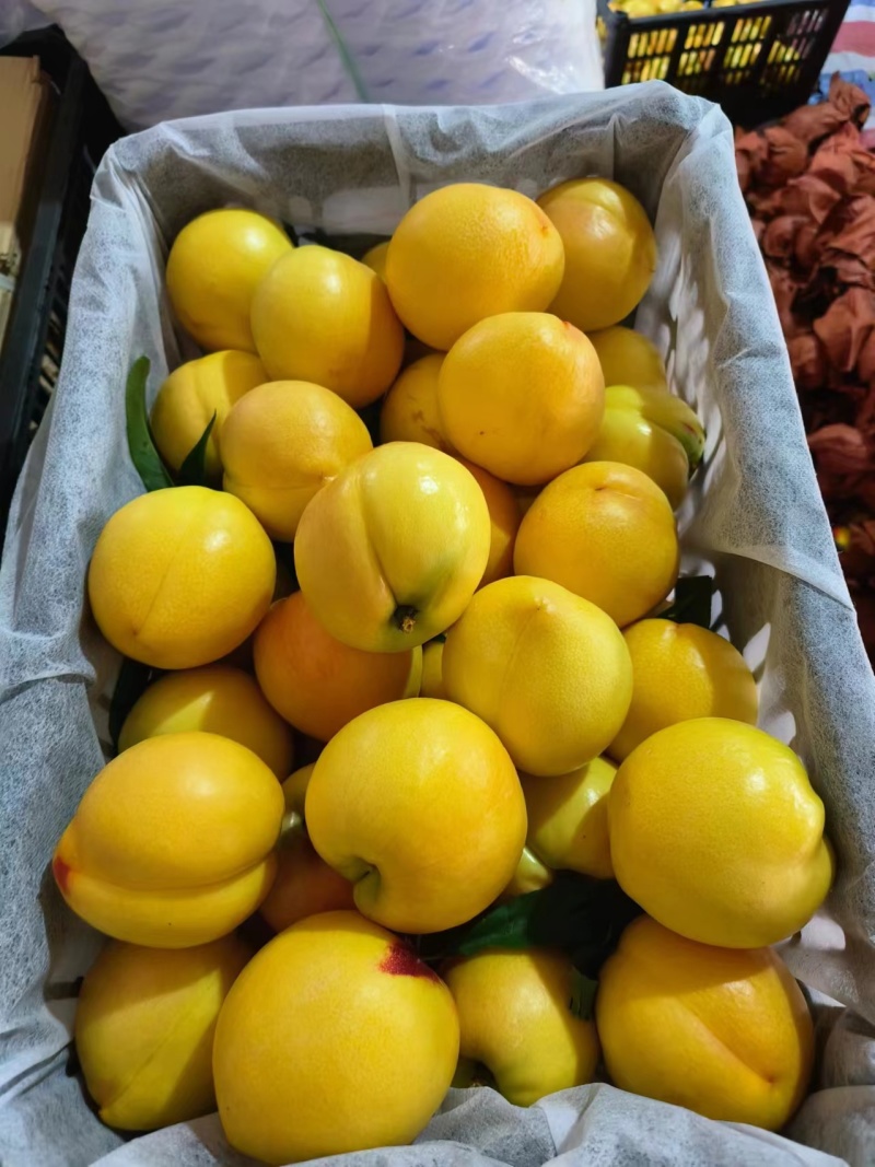精品芒果油桃，大量上市
