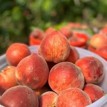 水蜜桃，各种品种的水蜜桃，产地直接发货，支持一件，供应链
