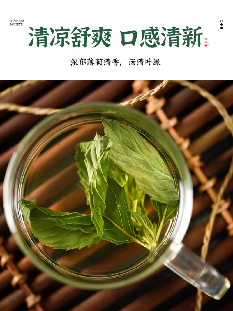 薄荷叶中药材自然晾晒新货批发零售量大从优
