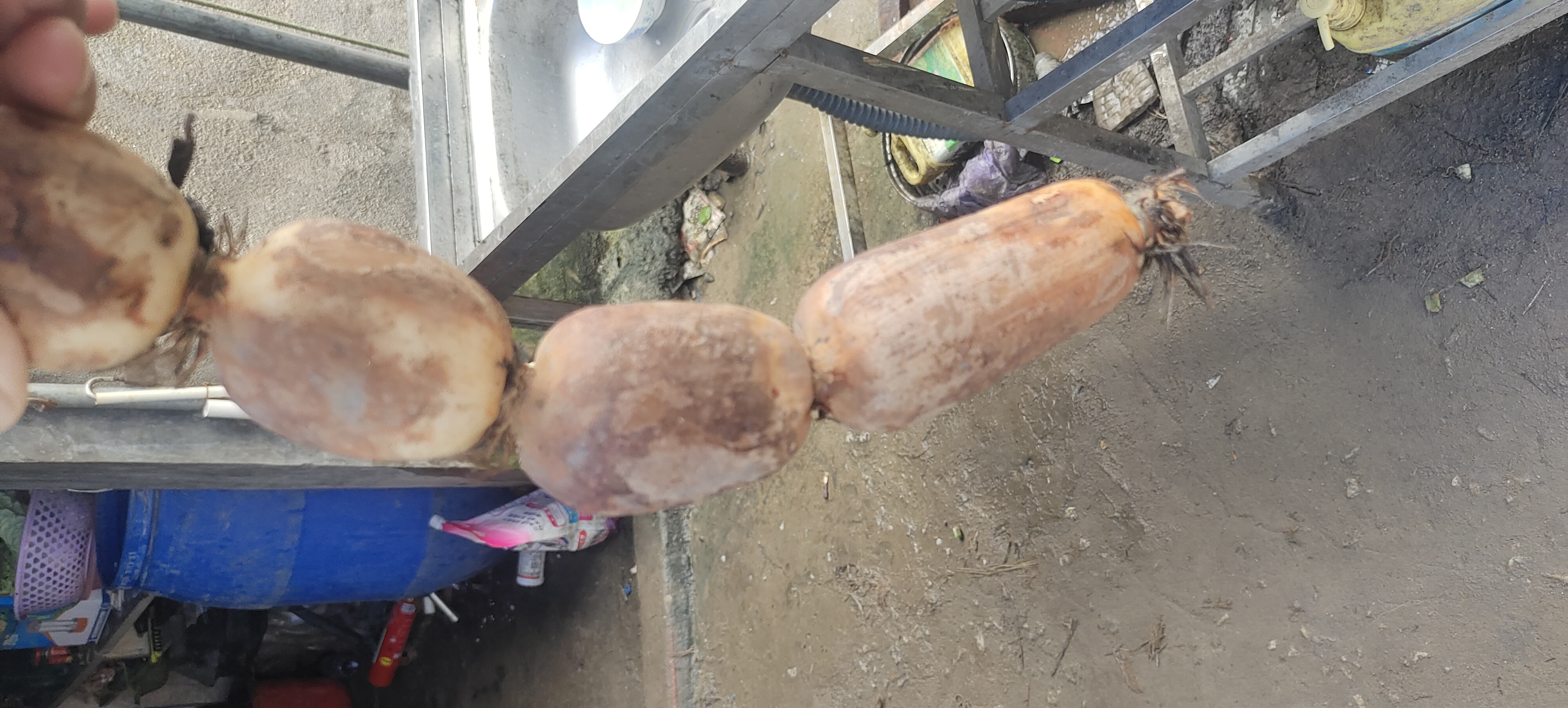 一根新鲜莲藕被横向切开,露出内部七个或九个明显的圆形通气孔,孔壁较厚,颜色呈淡黄偏粉白色,表明为粉藕;背景为木质砧板,周围散落少量藕片和泥土 莲藕横切面展示内部孔洞结构