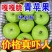 山东沂蒙山辽伏苹果大量上市对接各大电商/市场/商超/赶集零售