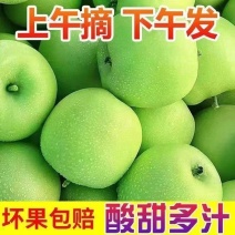 山东沂蒙山辽伏苹果大量上市对接各大电商/市场/商超/赶集零售