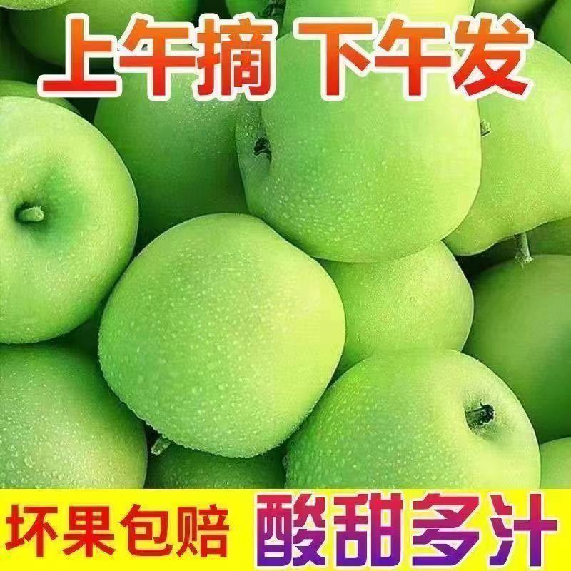 山东沂蒙山辽伏苹果大量上市对接各大电商/市场/商超/赶集零售