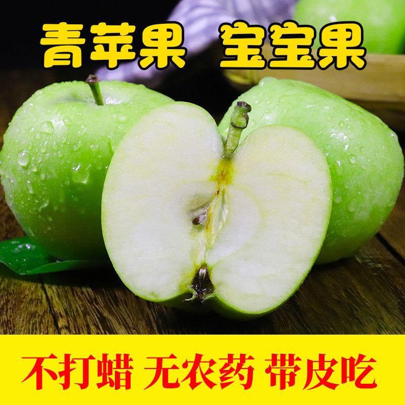 山东沂蒙山辽伏苹果大量上市对接各大电商/市场/商超/赶集零售