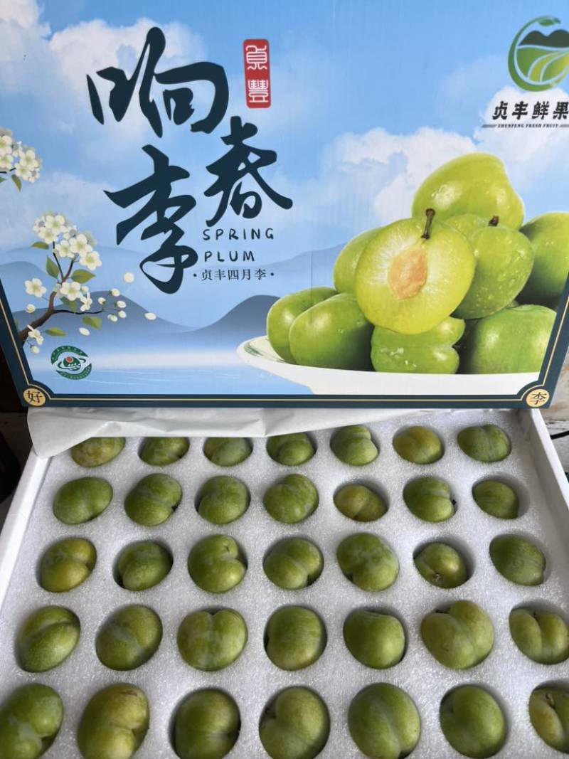 19元/5斤贞丰脱骨李抖音淘宝一件代发欢迎老板联系