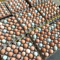 精品鸡蛋，各类鸡蛋，价格美丽,产地直销欢迎购买