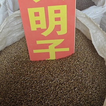 决明子