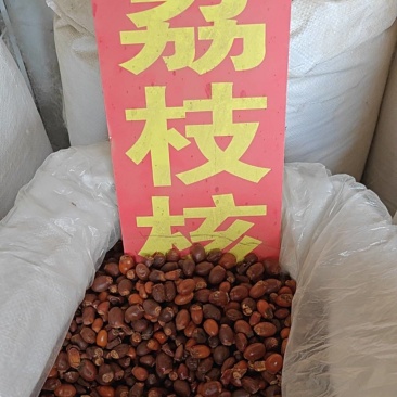 荔枝核
