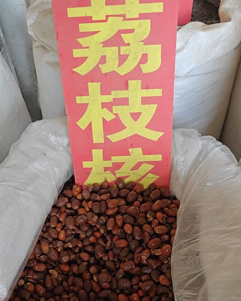 荔枝核
