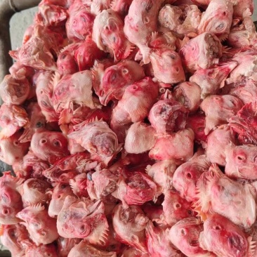 肉鸡头
