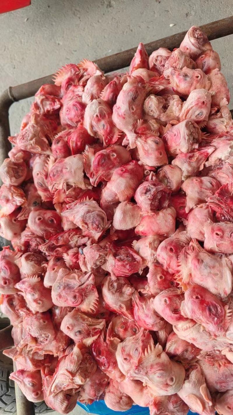 肉鸡头