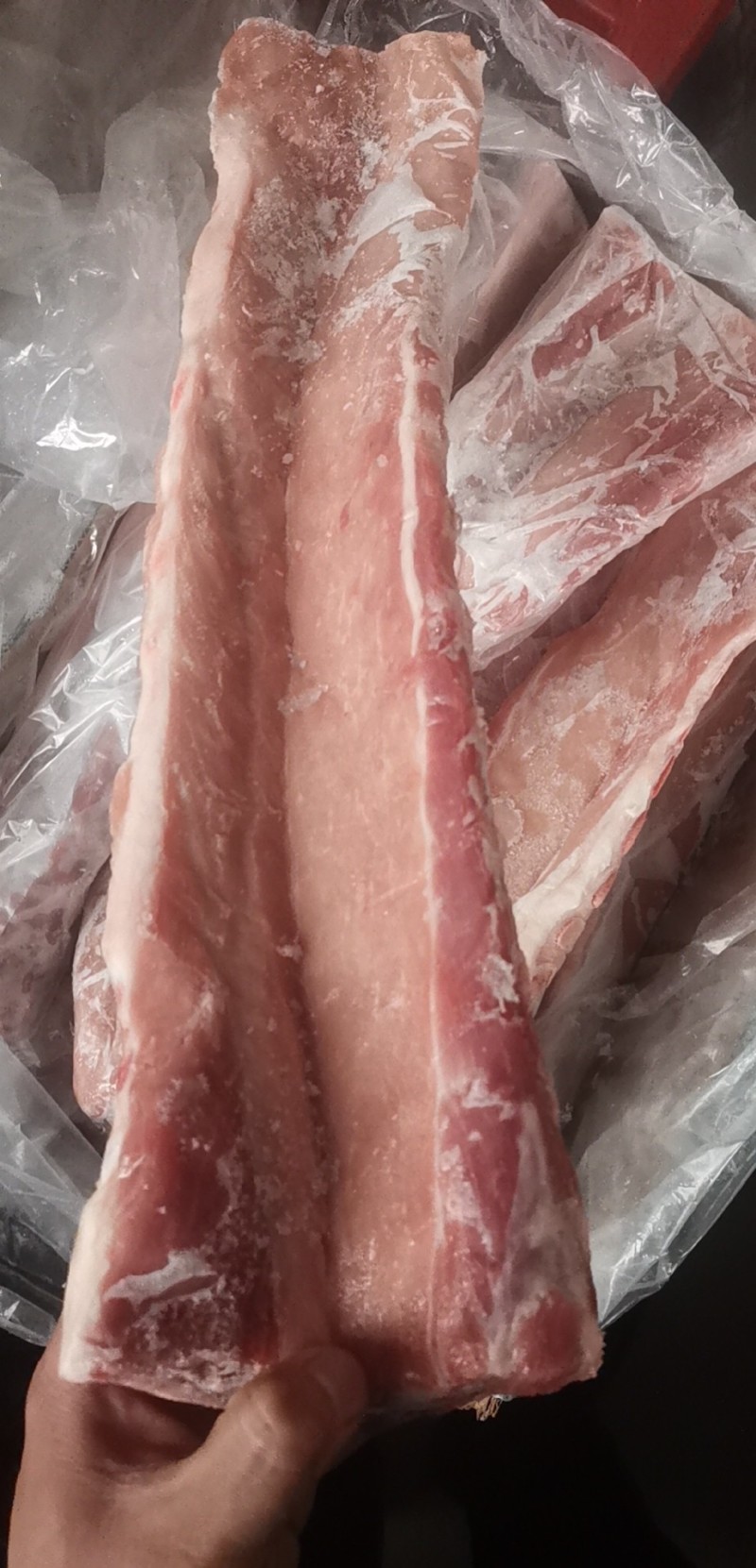 国产多肉龙骨大量库存量大从优