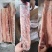 国产多肉龙骨大量库存量大从优