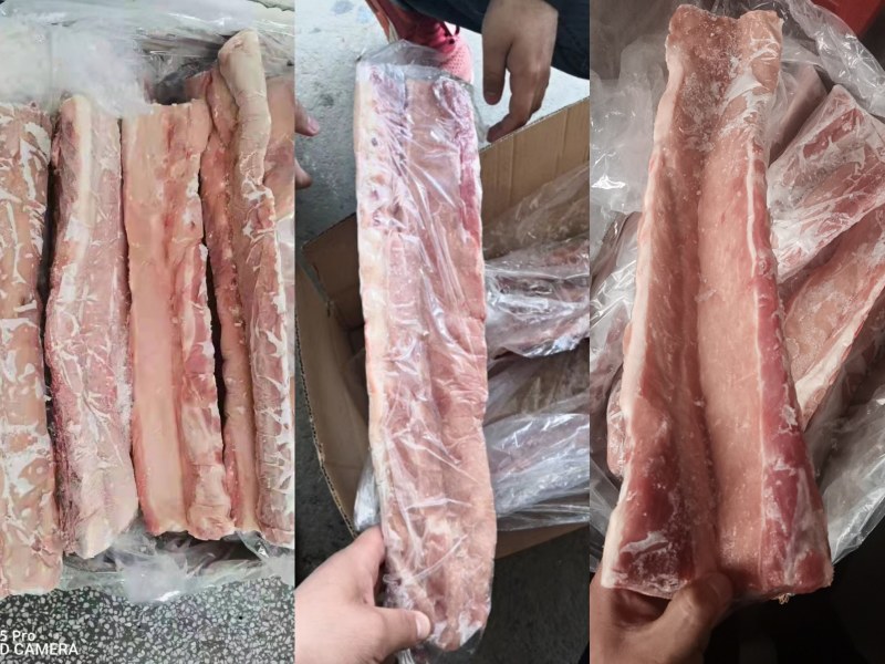 国产多肉龙骨大量库存量大从优