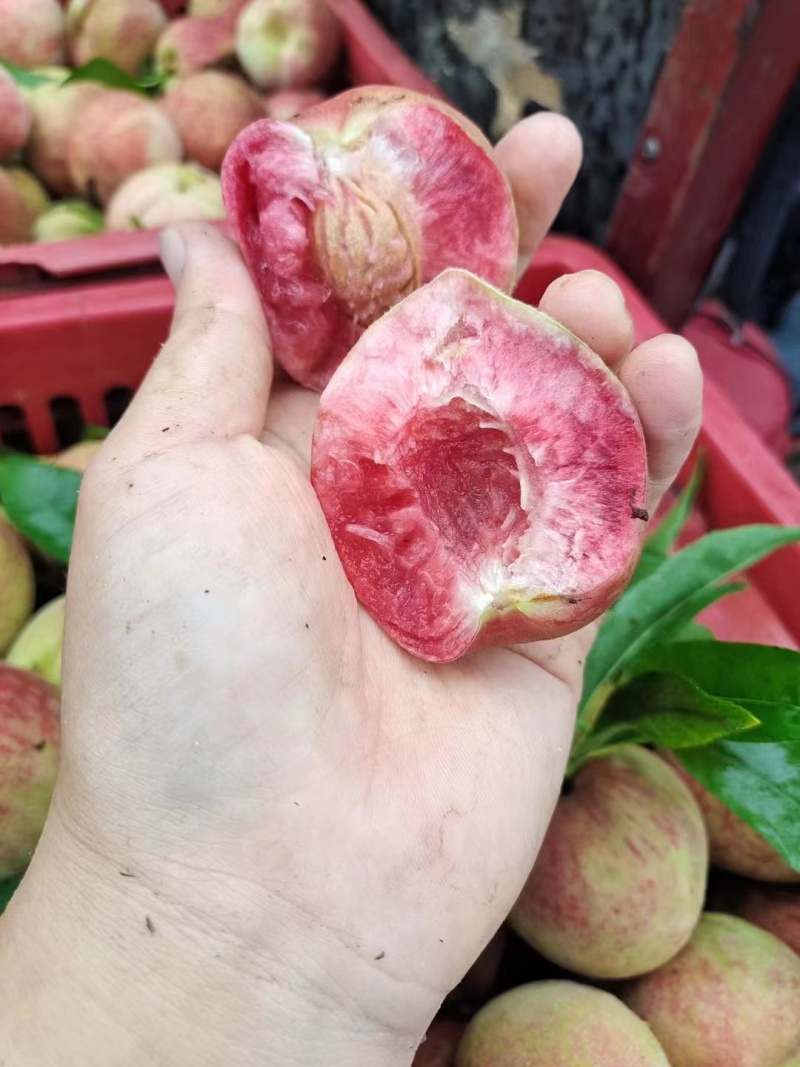正宗朱砂红，离核桃。