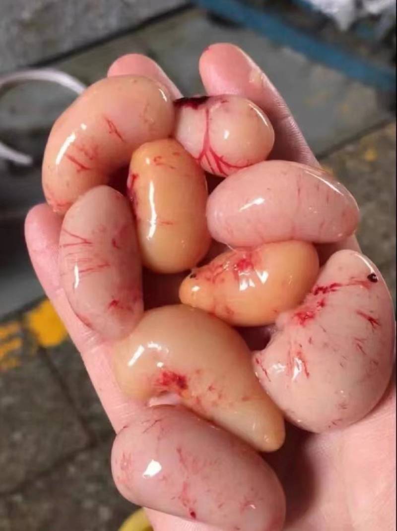鸡子，鸡腰子，鸡肾子，火锅煮鸡子，爆炒鸡子，酒焗鸡子