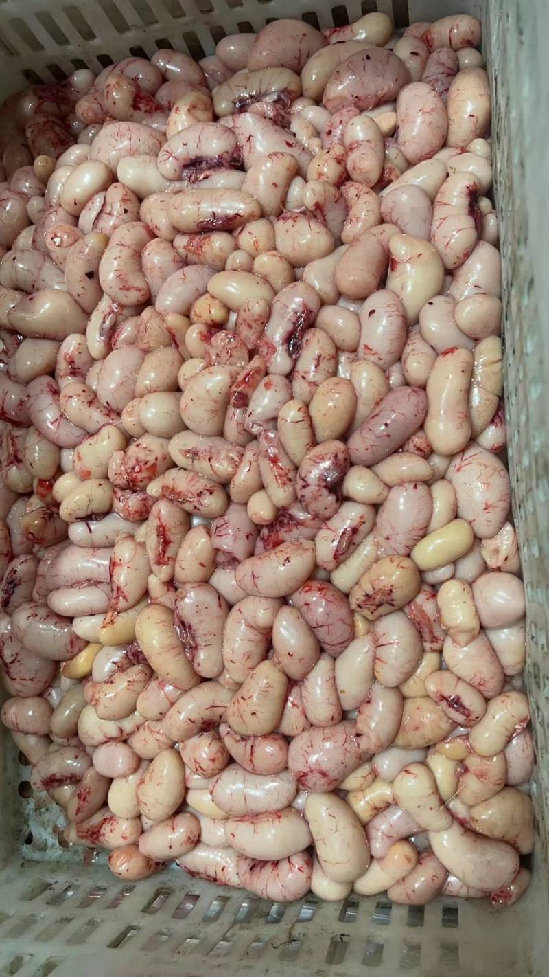 鸡子，鸡腰子，鸡肾子，火锅煮鸡子，爆炒鸡子，酒焗鸡子