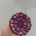 精品黑玉米，小果