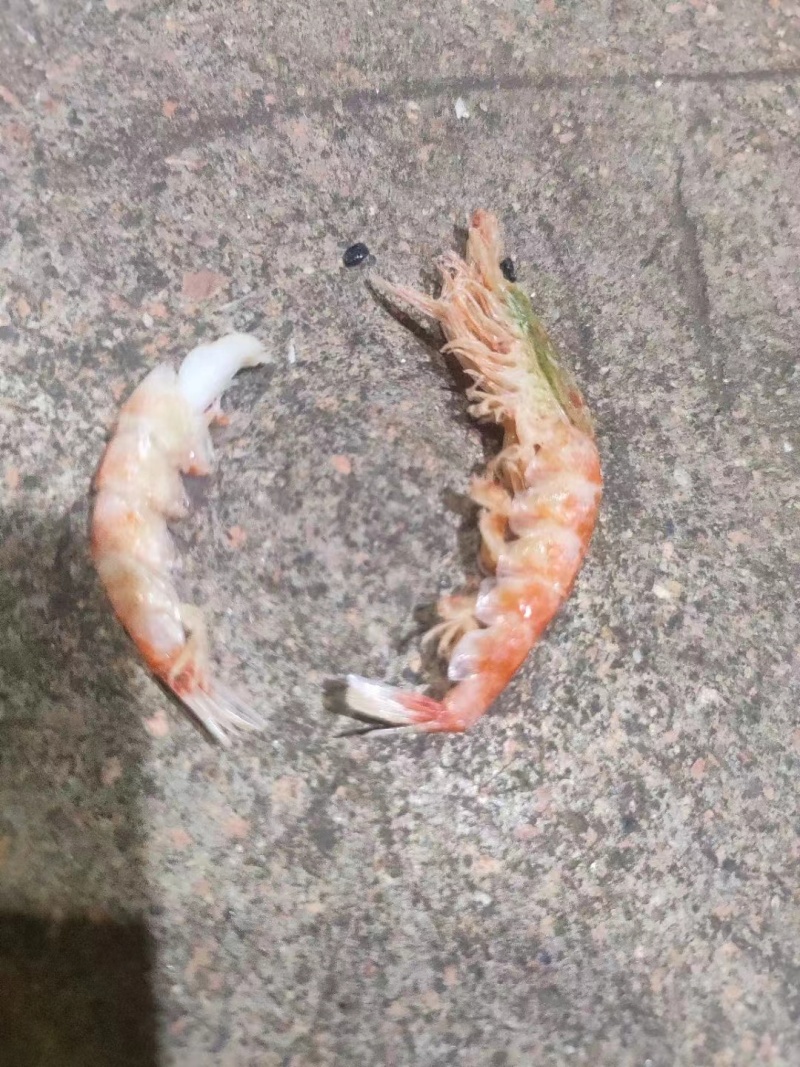 源头厂家，源产品，冻干，虾粉