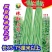 长豆角珠豇三号油白豆角豇豆肉厚鲜嫩商品性好采收期长春夏