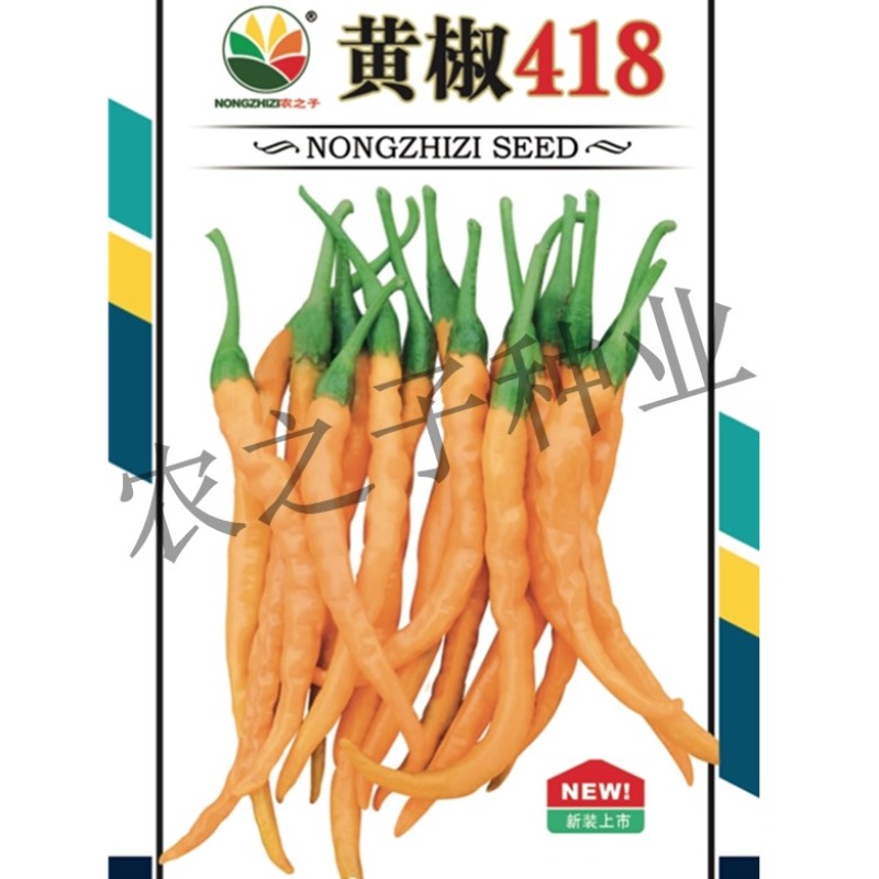 株洲王十万黄辣椒418黄皮线椒皱皮辣椒种子可鲜食可加工季农