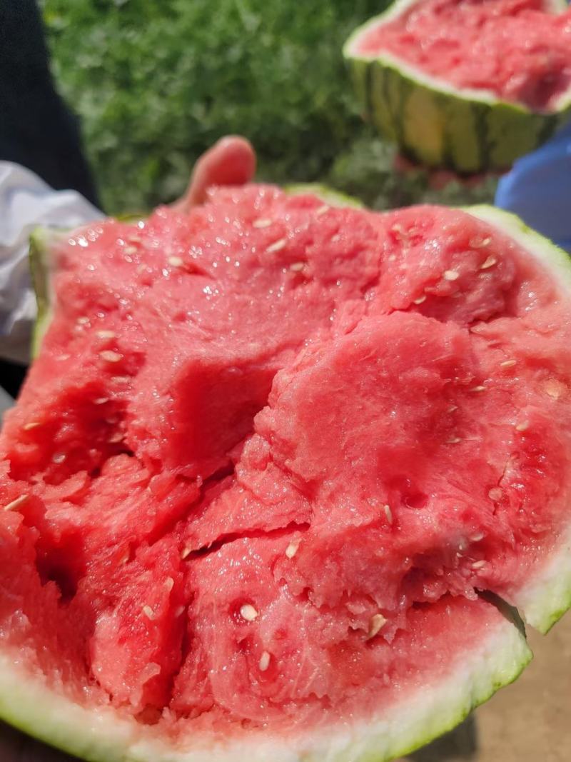 西瓜量大优惠供货