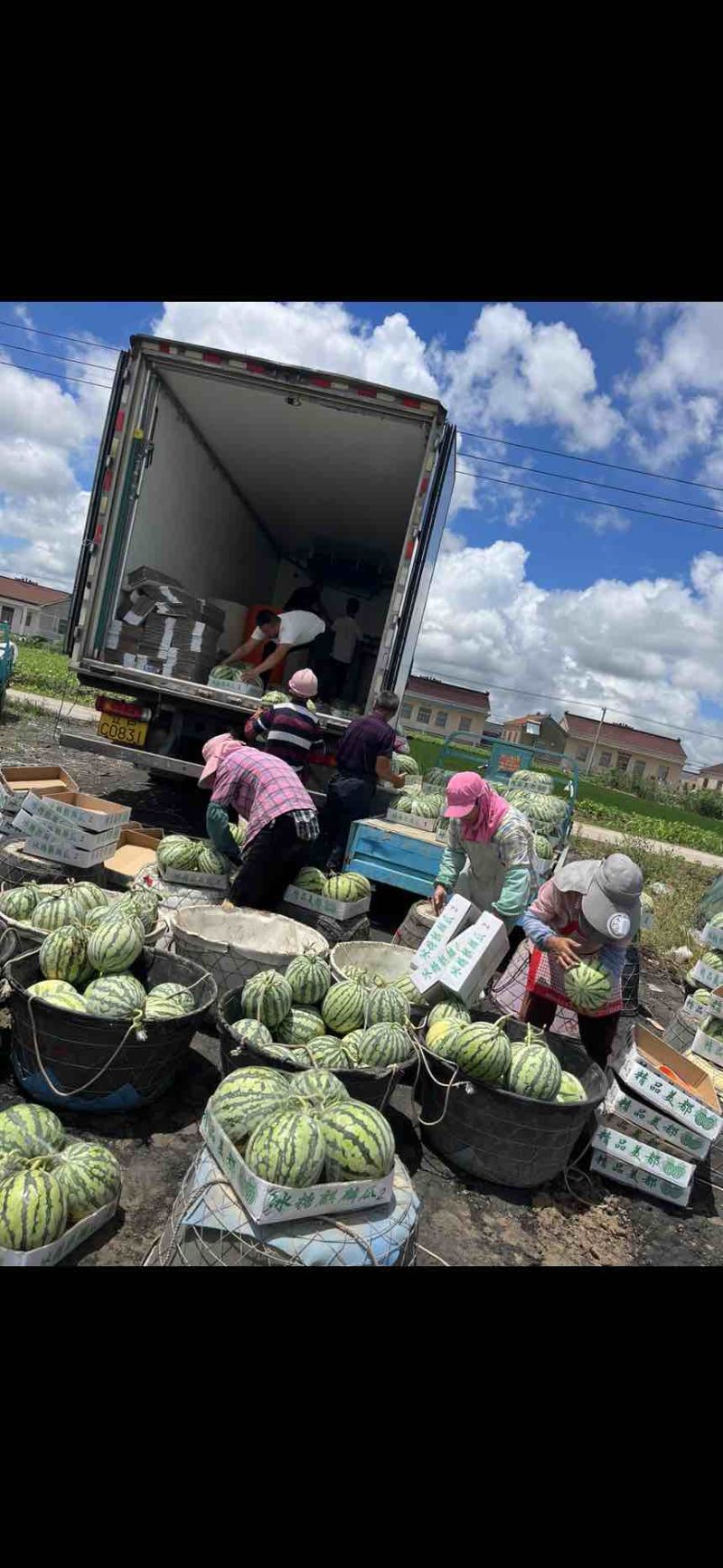 江苏精品美都，原产地直发对接全国各大市场、商超。