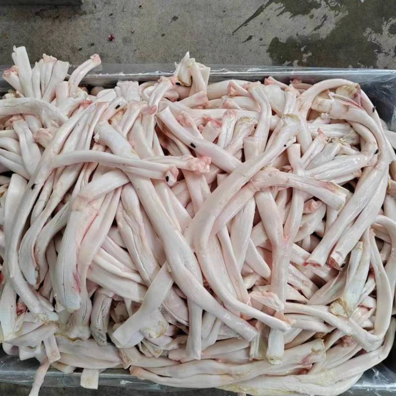 蹄筋人字筋